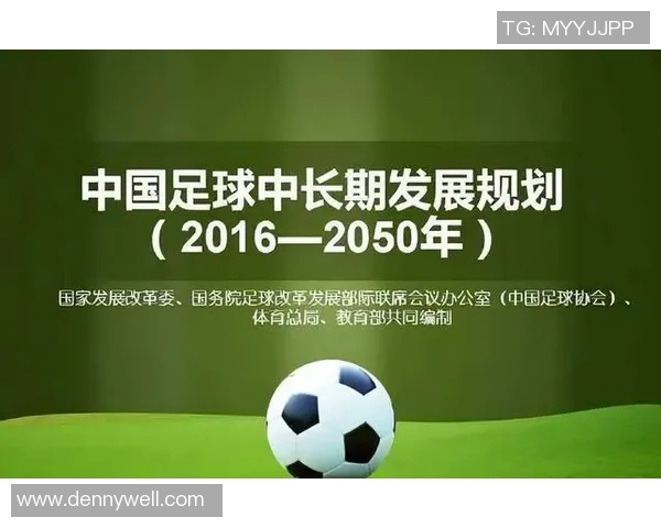 上海队当家足球明星的成长历程与未来展望分析